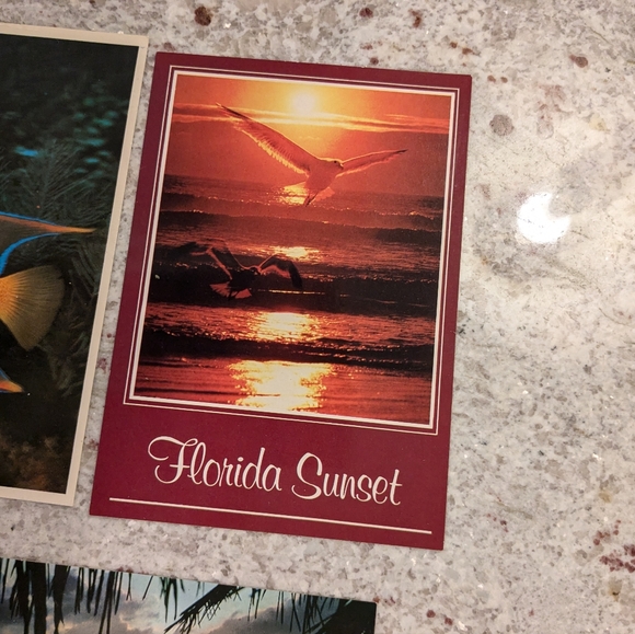 Lot Of Seven Blank Florida Keys, Sunset & Ocean Vintage 4x6 Postcards Unused - Picture 7 of 16